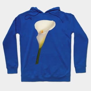 Cream-white Arum Lily Hoodie